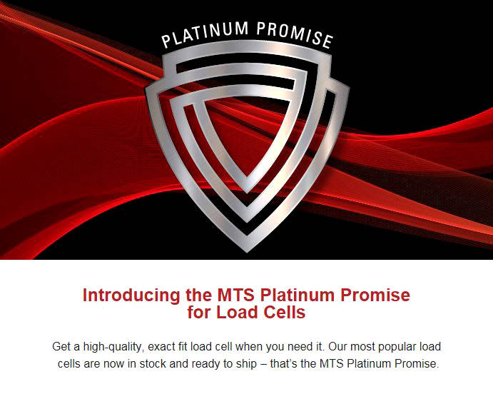 Platinum Promise